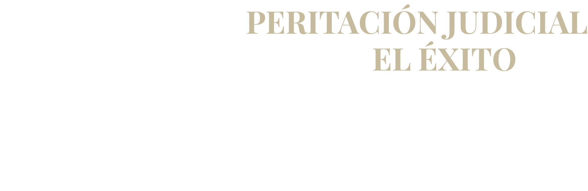 PERITO JUDICIAL GPI Perito Judicial