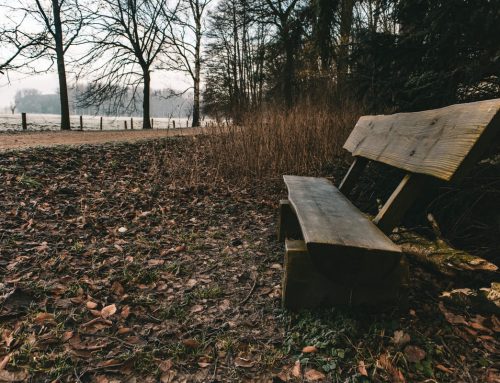 El abandono del hogar: consecuencias familiares y judiciales